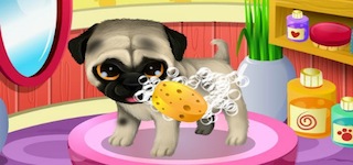 Гра Мити тварин для дівчаток