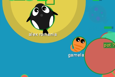 Гра Море Іо - грати в mope.io (Море io) на весь екран, онлайн безкоштовно