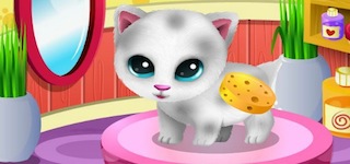 Гра Догляд за кішками