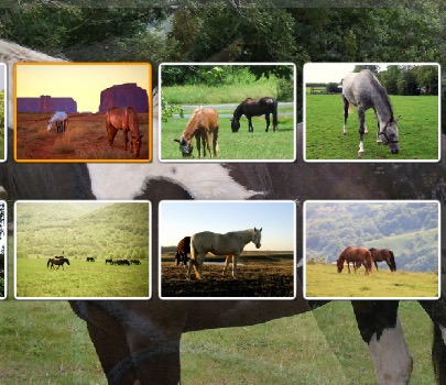 Гра Пазл з Кіньми