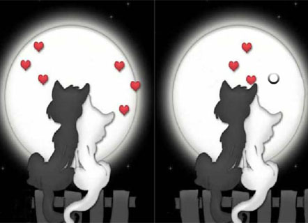 Гра Знайди відмінності