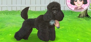 Гра Догляд за собачками на свежом повітрі