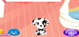 Гра Догляд за собаками